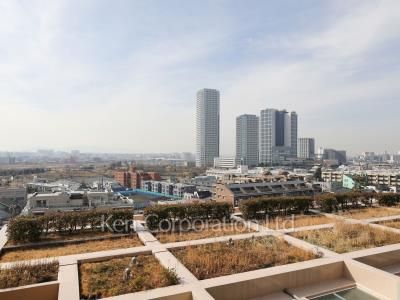 View from the property