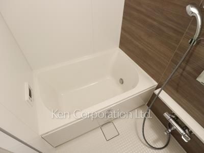 Bath ※Photo of the same layout on 10 floor. Decoration and fixture may differ.