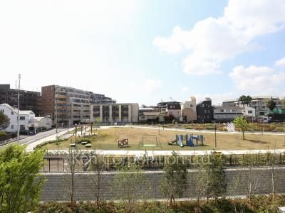 View from the property