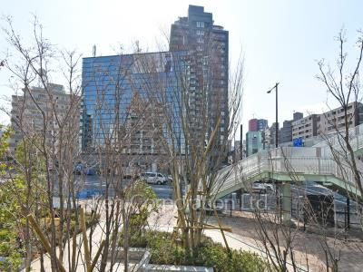 View from the property