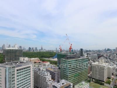 View from the property