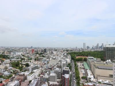 View from the property
