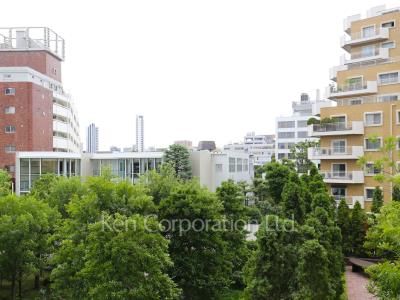 View from the property