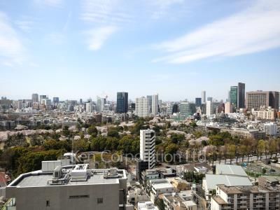 View from the property