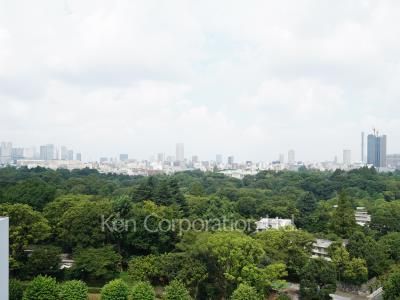 View from the property