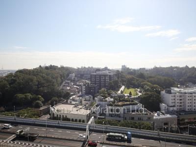 View from the property