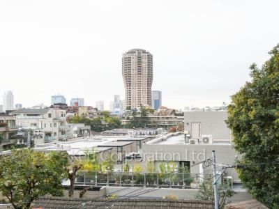 View from the property