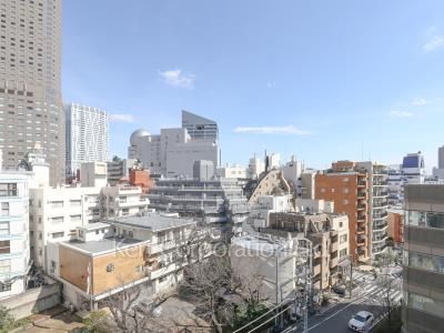View from the property