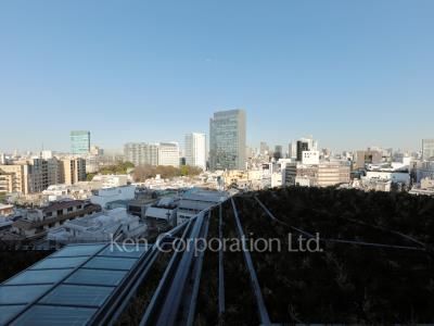 View from the property