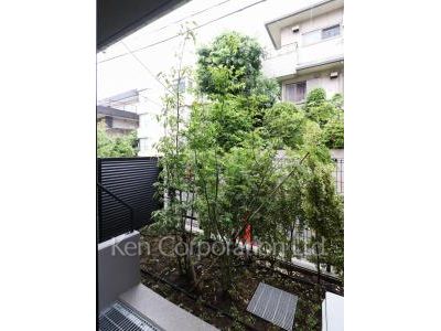 Yard/Garden