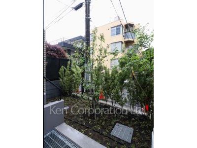 Yard/Garden