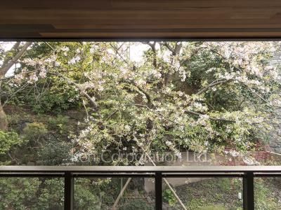 View from the property