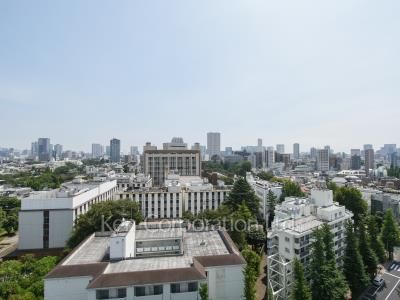 View from the property