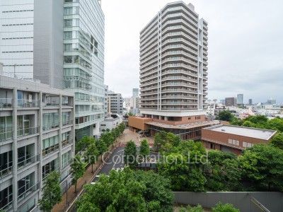 View from the property