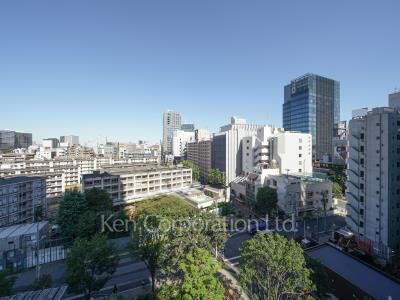 View from the property