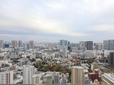 View from the property