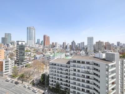 View from the property