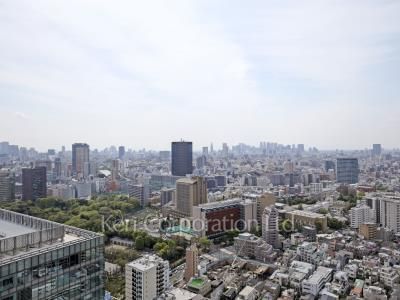View from the property