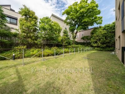 Yard/Garden
