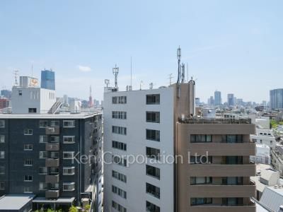 View from the property