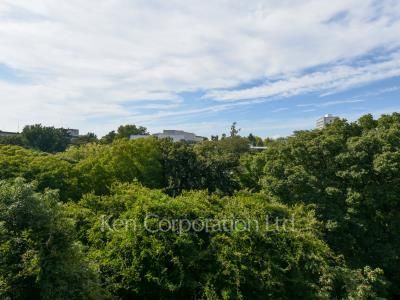 View from the property