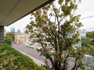 View from the property