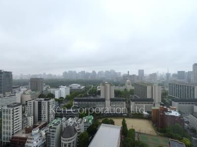 View from the property