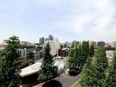 View from the property