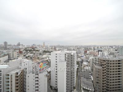 View from the property