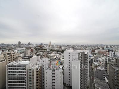 View from the property
