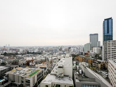 View from the property