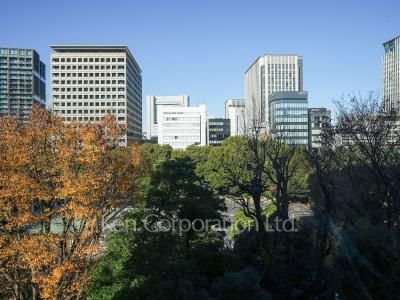 View from the property