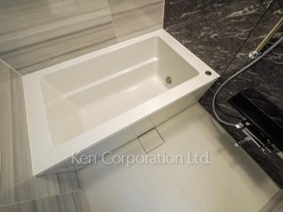 Bath ※Photo of the same layout on 12 floor. Decoration and fixture may differ.
