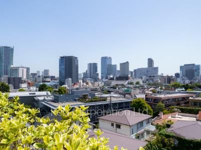 View from the property