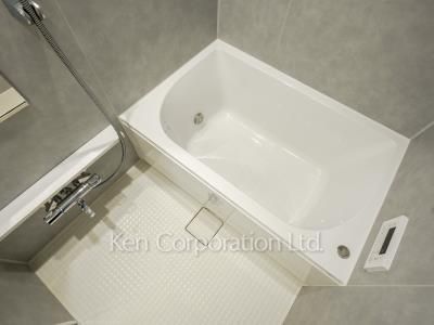 Bath ※Photo of the same layout on 12 floor. Decoration and fixture may differ.