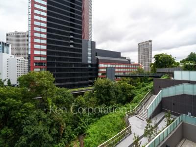 View from the property