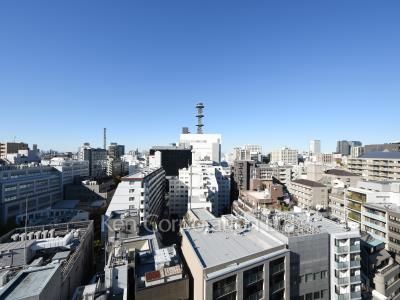 View from the property