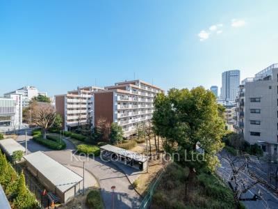 View from the property