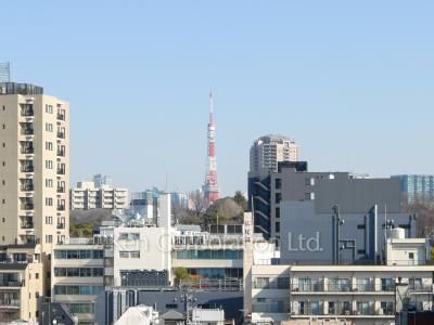 View from the property