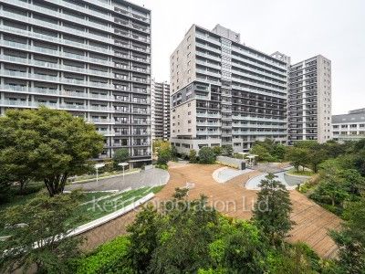 View from the property