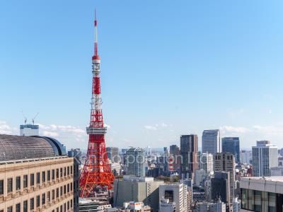 View from the property