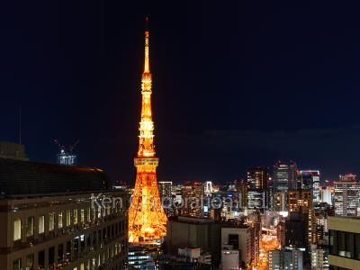 View from the property