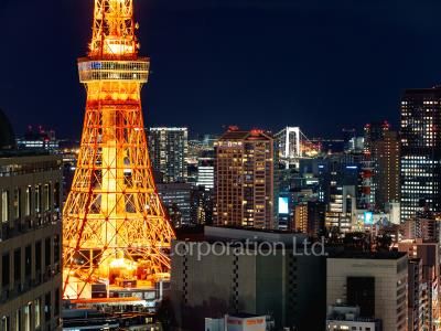 View from the property