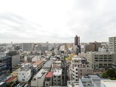 View from the property