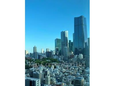 View from the property