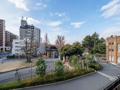 View from the property