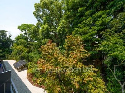 View from the property