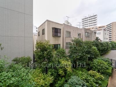 View from the property