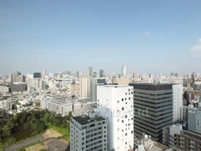 View from the property