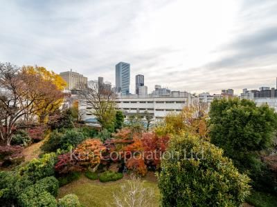 View from the property